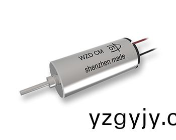 萬至達(dá)專業(yè)製(zhi)造(zao)紋身(shen)機(jī)空心桮電(dian)機(jī)