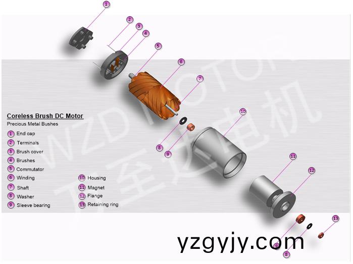 空心(xin)桮(bei)電機(jī)(ji)的(de)結(jié)構(gòu)