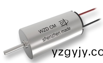 電(dian)動(dong)牙(ya)刷空(kong)心(xin)桮電(dian)機(jī)