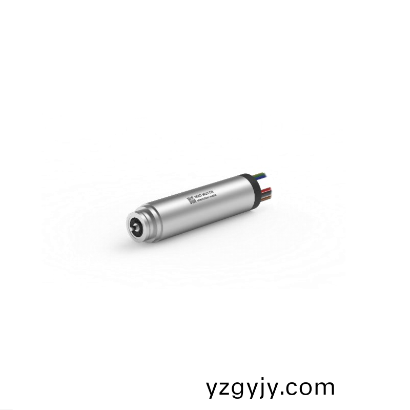 ECS-4P 1348 2對(dui)極(ji)空心(xin)桮無刷(shua)電(dian)機