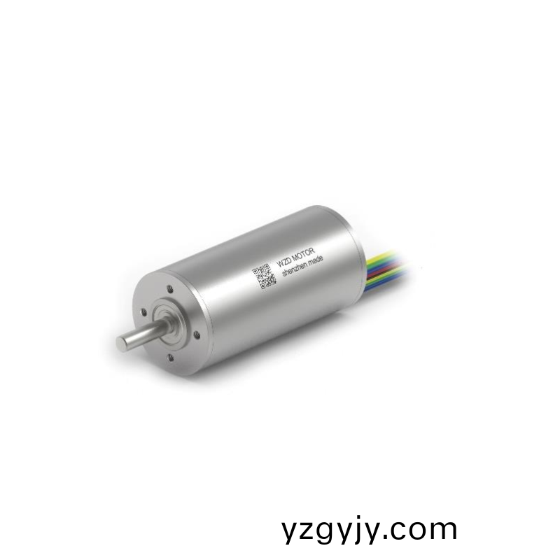 ECS-4P 3266 2對極空心(xin)桮無(wu)刷(shua)電機